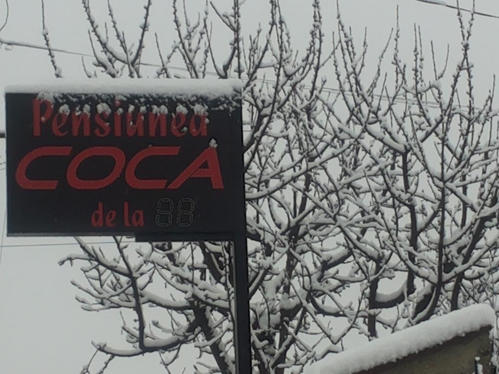 Pensiunea Coca Băile Felix Extérieur photo